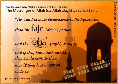 8bd2fc2aedcc9adb43ca1bdd7b78cd06